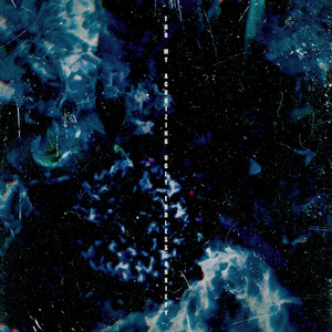 我想操中国小美女
